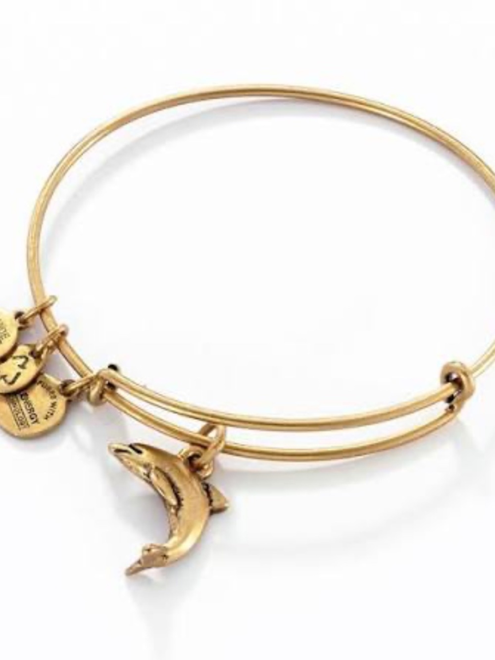 Alex And Ani Dolphin bracelet